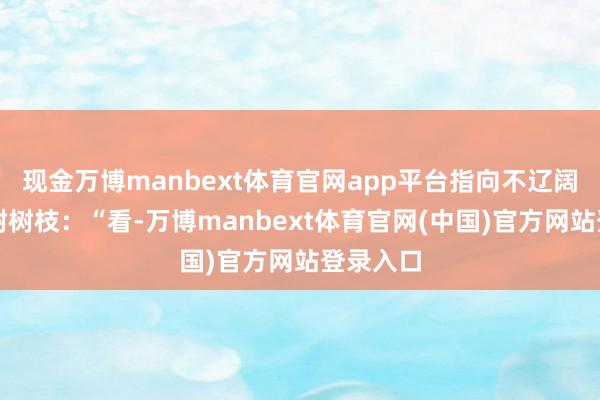 现金万博manbext体育官网app平台指向不辽阔的银杏树树枝：“看-万博manbext体育官网(中国)官方网站登录入口